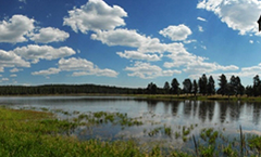 Warm Fire Restorationイメージ