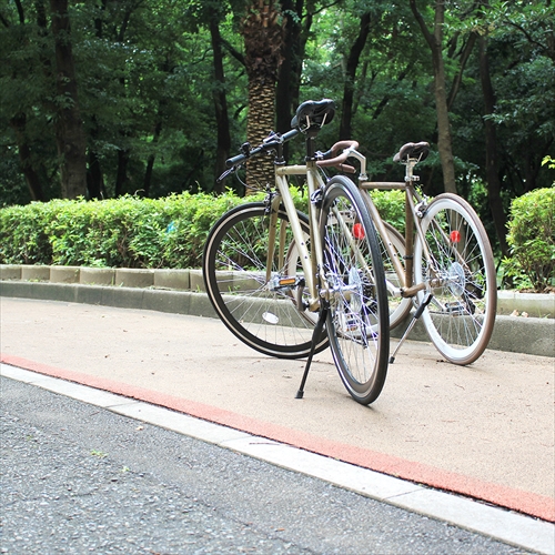 WACHSEN BAC-700-WBG 700Cアルミクロスバイク7段変速　-wood- Atmung 画像3