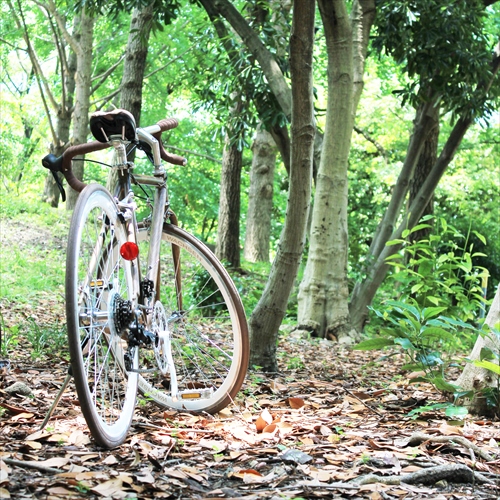 WACHSEN BAR-700-WBR 700Cアルミロードバイク14段変速　-wood- Jaeger 画像2