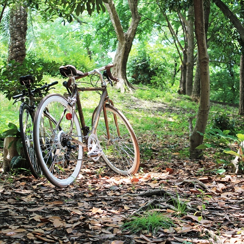 WACHSEN BAR-700-WBR 700Cアルミロードバイク14段変速　-wood- Jaeger 画像5