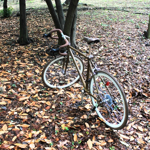 WACHSEN BAR-700-WBR 700Cアルミロードバイク14段変速　-wood- Jaeger 画像8