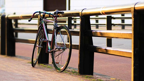 WACHSEN BSS-MG7001 700Cクロモリシングルスピード　Chameleon 画像6