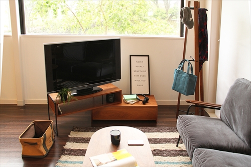  ANK-2392BR anthem TV Board 画像21