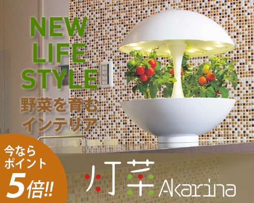 灯菜 ポイント5倍